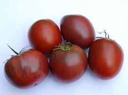 planter les tomates prince noir