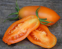 planter les tomates Banana orange