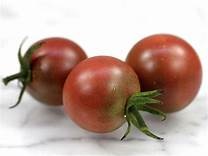 planter les tomates Black Cherry
