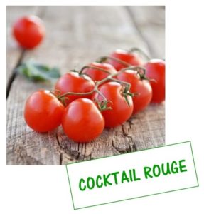 tomate cocktail rouge