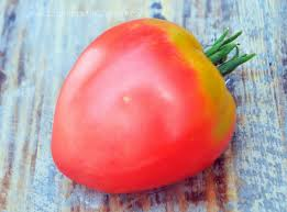 planter les tomates grushovka