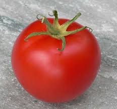 planter les tomates Moskvich div