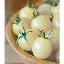 planter les tomates White Cherry