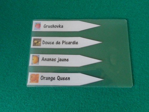 étiquettes à semis sous film plastique