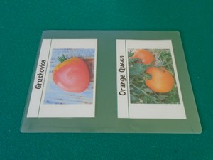 étiquette à tomate prête à être plastifiée