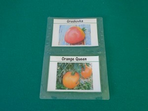 étiquette à tomates plastifiée