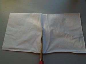 récupérer les graines découpe de la serviette papier