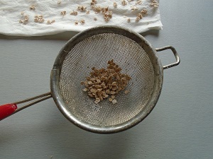 récupérer les graines séchées dans passette