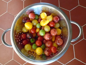 tomates apéro lavées