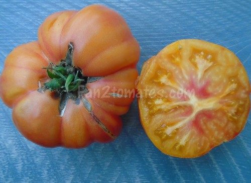 tomate ananas jaune pour choisir les variétés de tomates