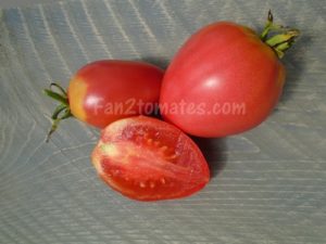 tomate grushovka