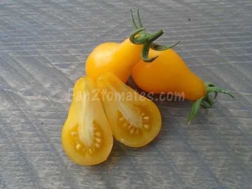 tomate poire jaune pour 20 meilleures variétés de tomate