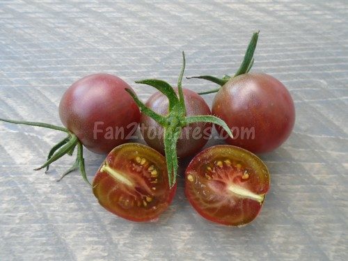 BC pour 20 meilleures variétés de tomate