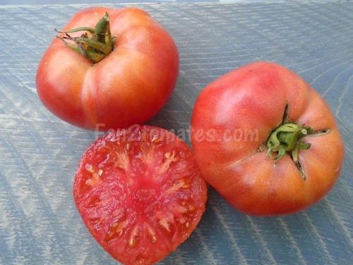 tomate gregory altaï
