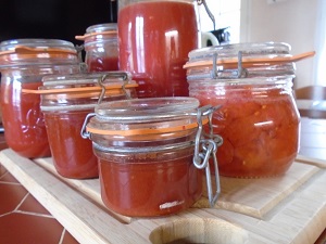 sauce tomate avec sub plenty artic