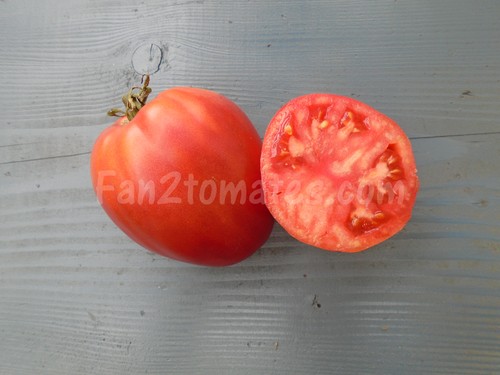 tomate Coeur de boeuf