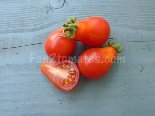 tomate poire rouge