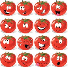 graines de tomates