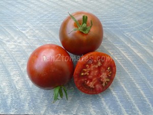 prince noir pour choisir les variétés de tomates