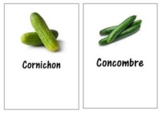 etiquette jardin couleur legume CO