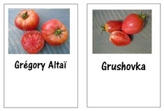 etiquette jardin couleur tomate GA GSK