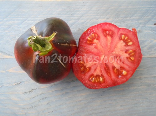 Blue Pear pour 20 meilleures variétés de tomate