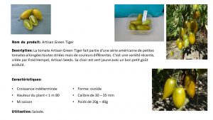 fiche produit artisan green tiger