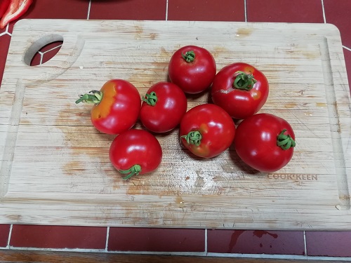 tomate à peler pour gazpacho