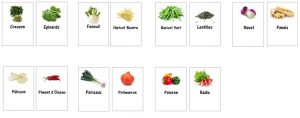 FT etiquette jardin couleur legume EZ