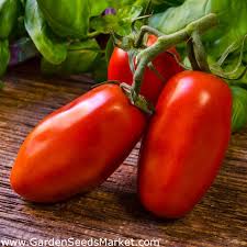 SM san marzano pour préparer la plantation des tomates