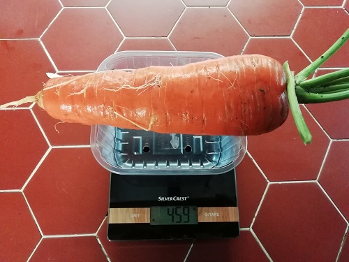 poids de la carotte