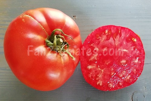 beaurepaire pour 20 meilleures variétés de tomate
