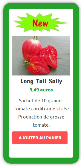 Long tall sally variété 2022
