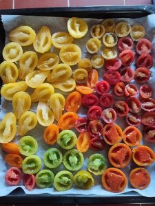tomate colorée pour tomates séchées