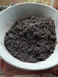 substrat rempotage pour rempotage des semis dans la nouvelle serre