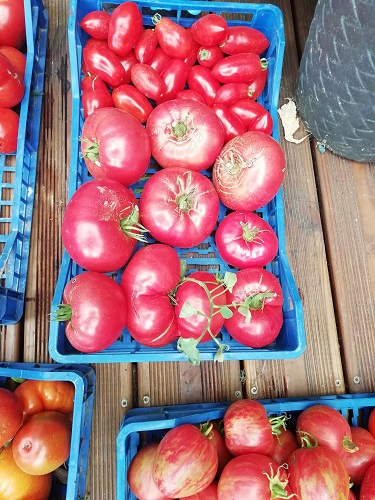 Transformation des tomates