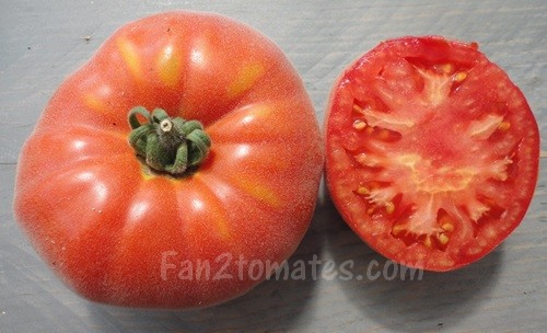 Abr pour 20 meilleures variétés de tomate